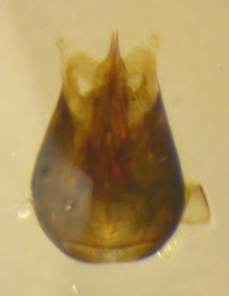 DSCN0428.JPG