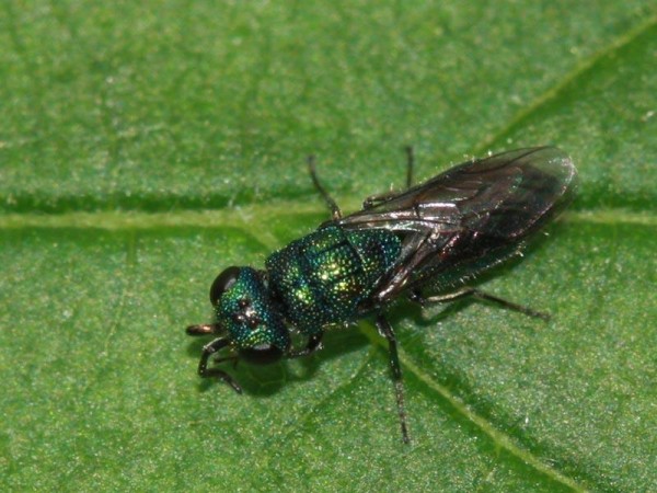 1a40e-aimg_5837.jpg
