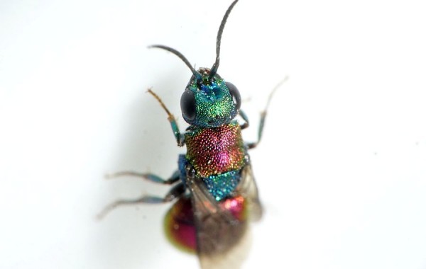 16-07-02-0977.jpg