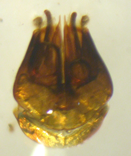 DSCN2828.JPG