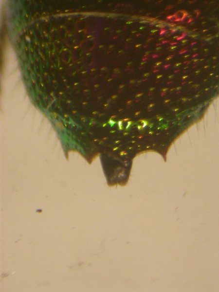 DSCN2834.JPG