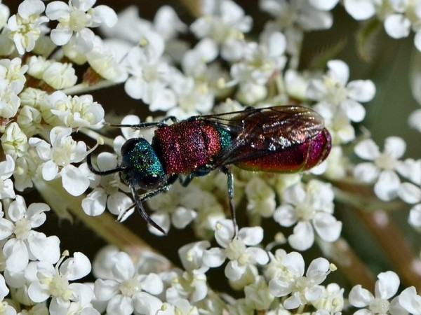 37495-picture-7749.jpg