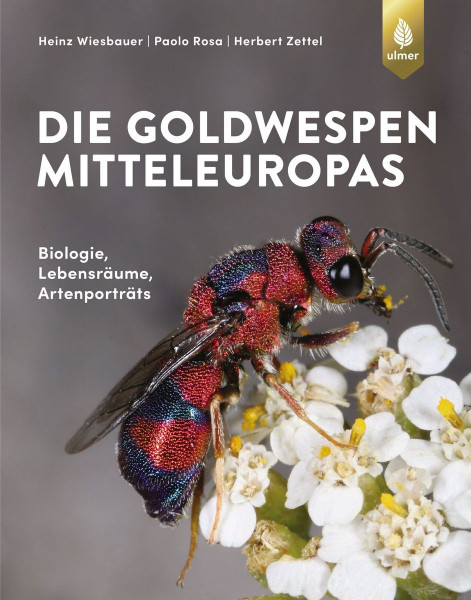 Die-Goldwespen-Mitteleuropas.JPG