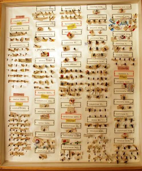box27.jpg